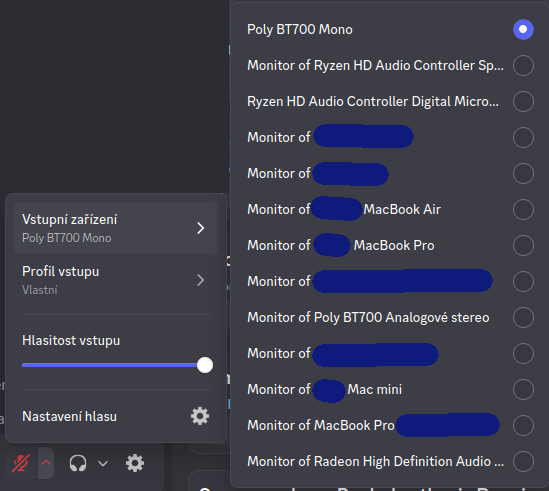 Discord&rsquo;s audio device chooser reveals a LOT of monitor devices on the network